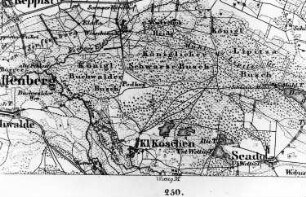 Senftenberg-Kleinkoschen. Topographische Karte vom Preußischen Staate, Bl. 233 Alt Döbern, aufgen. 1850