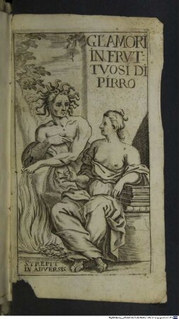 Gl'amori infrutuosi di Pirro
