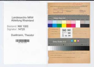 Entnazifizierung Theodor Duellmann, geb. 09.10.1904 (Arzt)