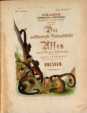 Die vollständigste Naturgeschichte der Affen, [2]. [Atlas]
