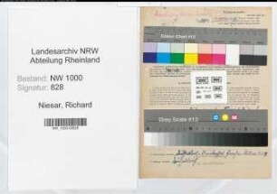 Entnazifizierung Richard Niesar, geb. 23.05.1900 (Arbeiter)