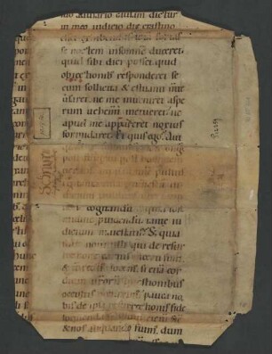 UB Gießen, Hs NF 761 - Homiliae in evangelia 2,26. - UB Gießen, Hs NF 761