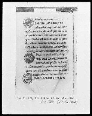 Capitula et Orationes officii — ---, Folio 25versoBuchseite