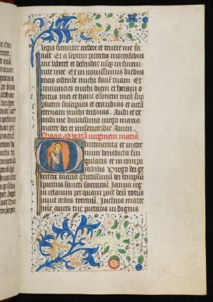 Initiale O, historisiert (Strahlenkranzmadonna), mit Blattrankenbordüre