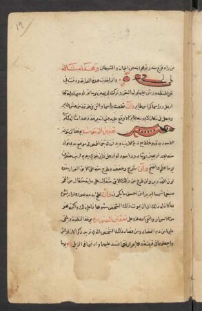 Buchschmuck: f. 19r-19v