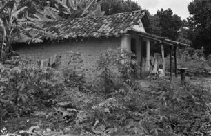 Maniokpflanzung : Haus mit bei einer Manikpflanzung im Bundesstaat Pernambuco.