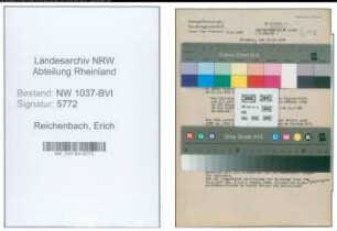 Entnazifizierung Erich Reichenbach , geb. 21.01.1890 (Rechtsanwalt)