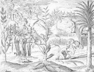 Abbildung ihres Landbaues und etlicher Gewächse - Buchseite aus de Bry, India II