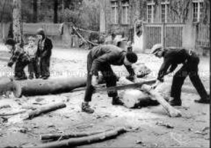 Während der Berlin-Blockade werden Straßenbäume zur Brennholzversorgung gefällt