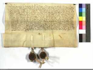 Philipp v. Hundelshausen u. Caspar v. Meysenbug stellen einen Revers aus für Jost v. Hundelshausen, den Dietrich v. Cleen, Komthur, in den D.O. au...