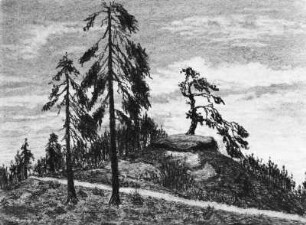 Felskuppe mit Fichten und Kiefer : Bernkopf, Georg: Felskuppe mit Fichten und Kiefer. Zeichnung, unbezeichnet