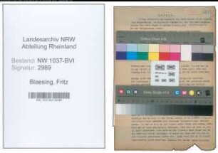 Entnazifizierung Fritz Blaesing , geb. 24.06.1907 (Fabrikant)