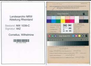 Entnazifizierung Wilhelmine Cornelius , geb. 09.08.1911 ()