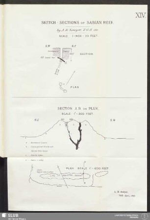 XIV. Sketch-sections of Sabian Reef