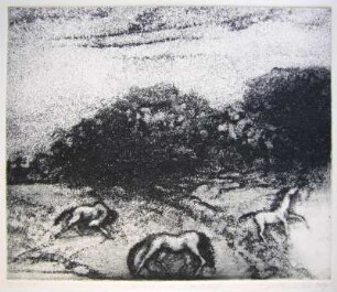 Anarchische Landschaft