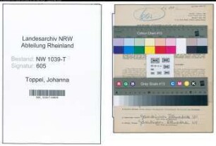 Entnazifizierung Johanna Toppel , geb. 09.05.1891 ()