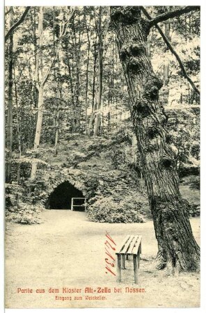 Altzella. Eingang zum Weinkeller des ehemaligen Ziesterzienserklosters