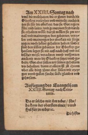 Außlegung des Evangelii am XXIIII. Sontag nach Trinitatis.