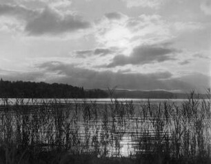 Insel Mainau, Am Bodensee, Sonnenaufgang
