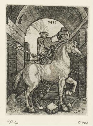 Kleines Pferd