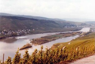 Staustufe Detzem/Mosel