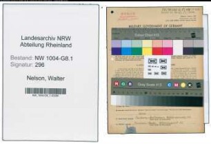 Entnazifizierung Walter Nelson , geb. 30.07.1909 (Statiker)