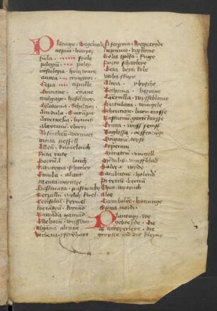 Macer floridus, dt. (Auszug, unvollständig)