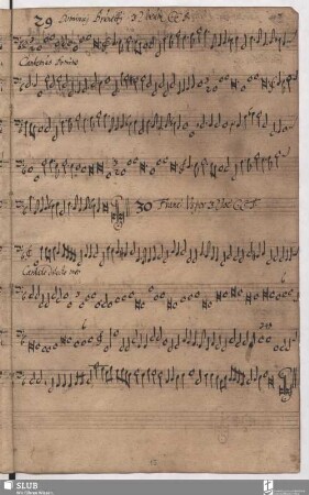 30. Usper, Francesco: Cantate dilecto meo et exsultate