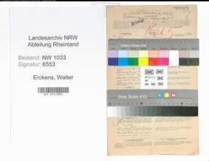 Entnazifizierung Walter Erckens , geb. 02.04.1913 (Emmalierer)