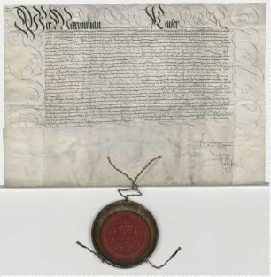 Kaiser Maximilian der Andere bestätigt Lüneburgs Gnaden, Freiheiten, Privilegien etc. Eigenhändige Unterschrift.