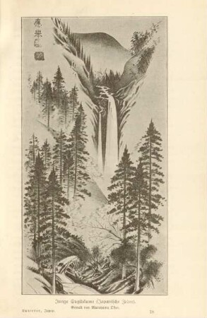 Junge Sugibäume (Japanische Zeder). Gemalt von Maruyama Okyo