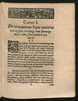 Caput I. De terminorum huius materiae usu legali ...