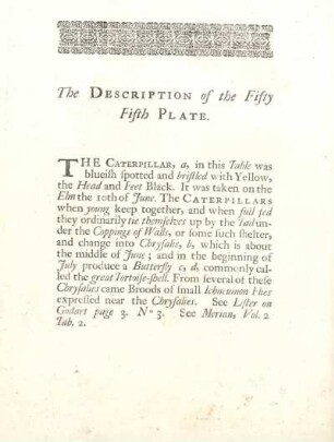 The Description of the Fifty Fifth Plate