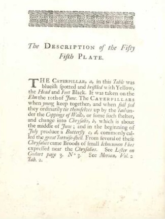 The Description of the Fifty Fifth Plate