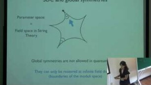 Stringy Evidence and Implications of the Swampland Distance Conjecture