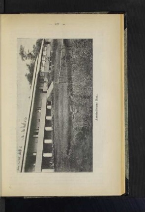 (Unterkunftshaus Buea).