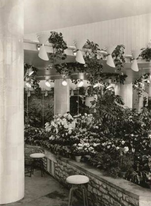 Dresden-Altstadt, Altmarkt. "Blumen am Altmarkt", Blumenladen des VEB (K) Gartenbau Dresden, Präsentation im Laden