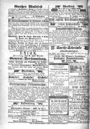 Fürther neueste Nachrichten für Stadt und Land. 1877,7/12 = Jg. 9