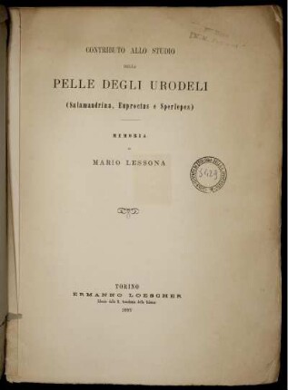 Contributo Allo Studio Della Pelle Degli Urodeli : (Salamandrina, Euproctus e Sperlepes) ; Memoria