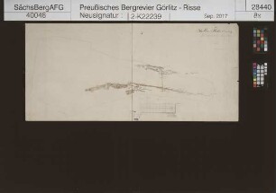 Braunkohlengrube Friedrich bei Muskau [Bad Muskau], Stollnflöz