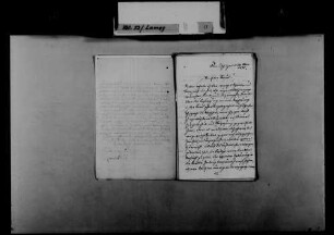 Schreiben von Ludwig Kirsner, Donaueschingen, an August Lamey: Gratulation zu einer Entscheidung Lameys.