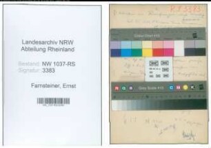 Entnazifizierung Ernst Farnsteiner , geb. 05.10.1895 (Direktor)