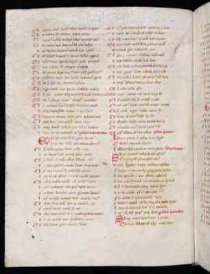 Liber elegiarum (Auszug)