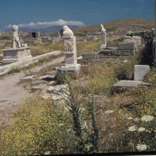 Delos. Dionysos-Heiligtum. An der Ostseite des Apollon-Temenos