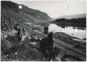 Weinlese an der Mosel