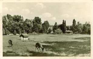 Postkarte, Landsberg an der Warthe (Neumark) (Gorzów Wielkopolski)