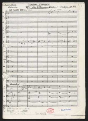 Wo die Zitronen blüh'n : Walzer : op. 364