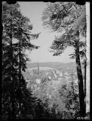 Blick auf Bad Elster