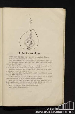 12. Salzburger Birne.