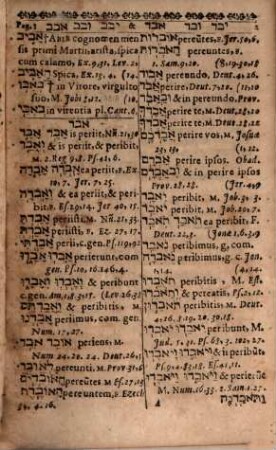 Concordantiarum Hebraicarum et Chaldaicarum epitome ad instar lexici